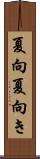 夏向 Scroll