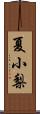 夏小梨 Scroll