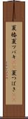 夏椿 Scroll
