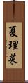 夏理菜 Scroll