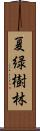 夏緑樹林 Scroll