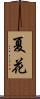夏花 Scroll