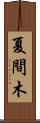 夏間木 Scroll