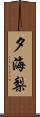 夕海梨 Scroll