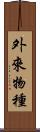 外來物種 Scroll