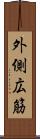 外側広筋 Scroll
