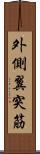 外側翼突筋 Scroll