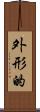 外形的 Scroll