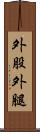 外股 Scroll