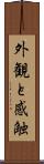外観と感触 Scroll