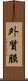 外質膜 Scroll
