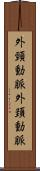 外頸動脈 Scroll