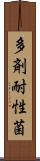 多剤耐性菌 Scroll