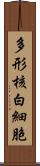 多形核白細胞 Scroll