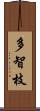 多智枝 Scroll