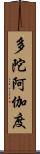 多陀阿伽度 Scroll