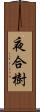 夜合樹 Scroll