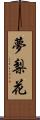 夢梨花 Scroll