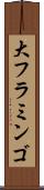 大フラミンゴ Scroll