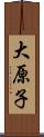 大原子 Scroll