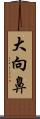 大向鼻 Scroll