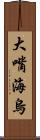 大嘴海烏 Scroll