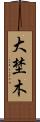 大埜木 Scroll