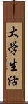 大学生活 Scroll