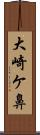 大崎ケ鼻 Scroll