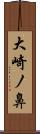 大崎ノ鼻 Scroll