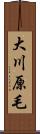 大川原毛 Scroll