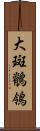 大斑鶺鴒 Scroll