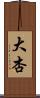 大杏 Scroll