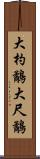 大杓鷸 Scroll