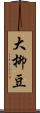 大柳豆 Scroll