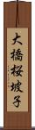 大橋桜坡子 Scroll