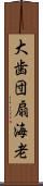 大歯団扇海老 Scroll