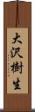 大沢樹生 Scroll