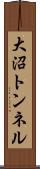 大沼トンネル Scroll