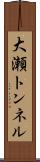 大瀬トンネル Scroll