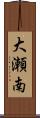 大瀬南 Scroll