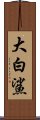 大白鯊 Scroll