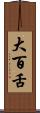 大百舌 Scroll