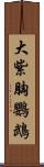 大紫胸鸚鵡 Scroll