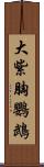 大紫胸鸚鵡 Scroll