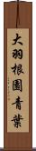 大羽根園青葉 Scroll