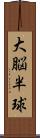 大脳半球 Scroll