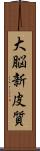 大脳新皮質 Scroll
