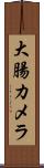 大腸カメラ Scroll