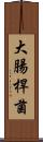 大腸桿菌 Scroll